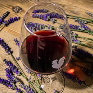 Chianti wine and olive tour in Italy