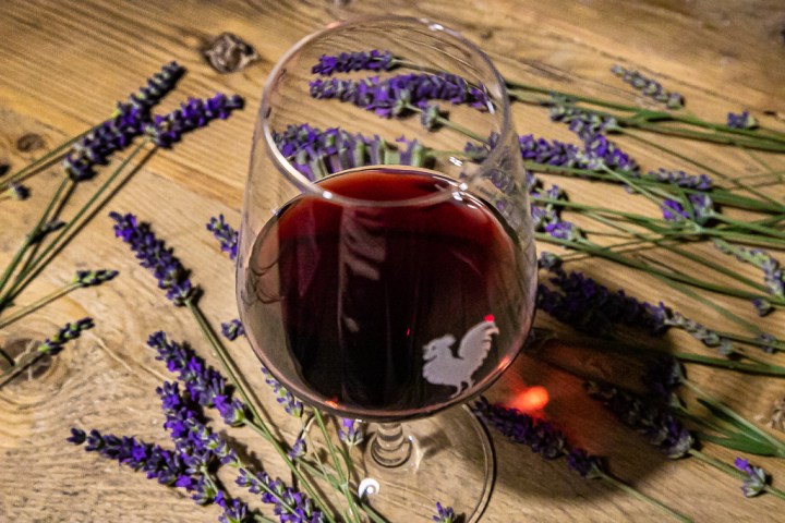 Chianti wine and olive tour in Italy