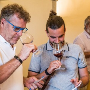 Chianti wine and olive tour in Italy