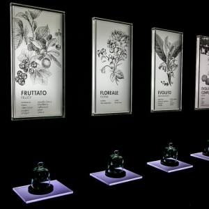 Chianti wine and olive tour in Italy