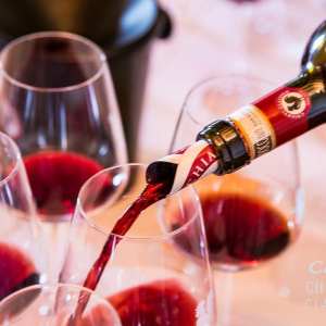 Chianti wine and olive tour in Italy