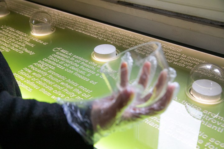 Chianti wine and olive tour in Italy