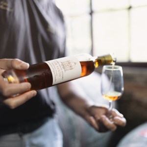 Premium wine tasting experience with local products in Tuscany