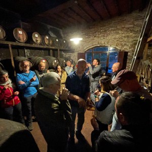 Premium wine tasting experience with local products in Tuscany