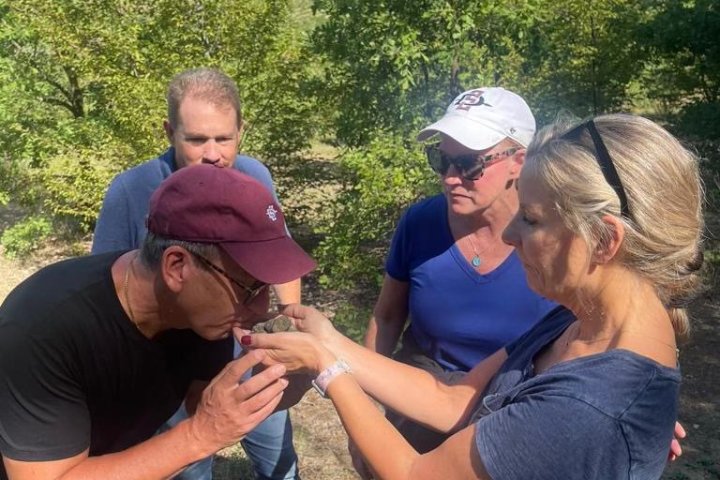 Learning how truffles grow in nature during a guided experience