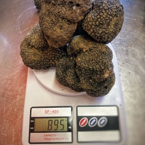 A pile of black truffles weighs 895 grams on a digital scale.