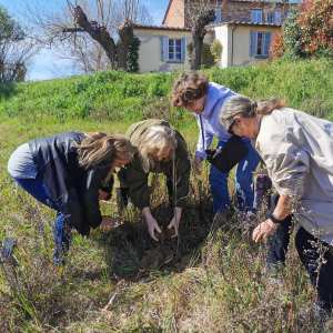 Outdoor truffle hunting activity near Arezzo