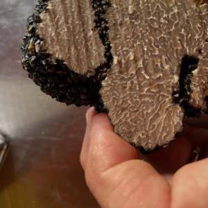 Close-up of hand holding a sliced black truffle with textured interior.
