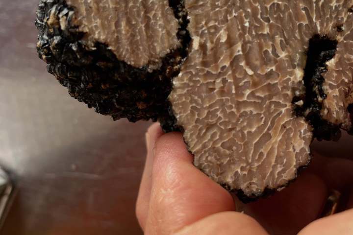 Close-up of hand holding a sliced black truffle with textured interior.
