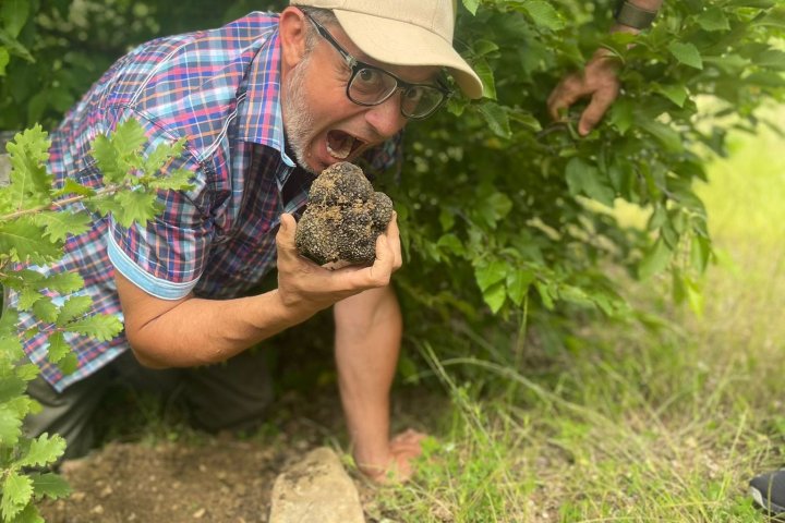 Searching for truffles in the Tuscan countryside