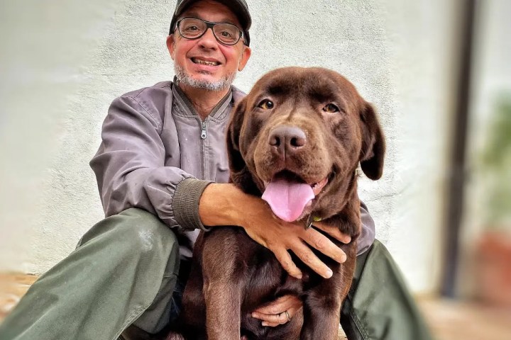 Truffle hunting experience in Tuscany with trained dog