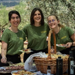 olive oil experience among olive trees Umbria