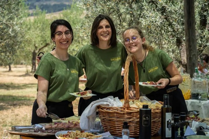 olive oil experience among olive trees Umbria