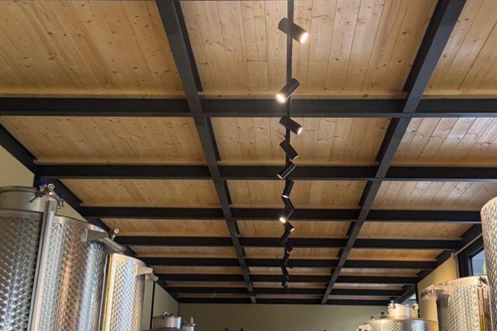 Modern olive oil mill in Calabria with production equipment