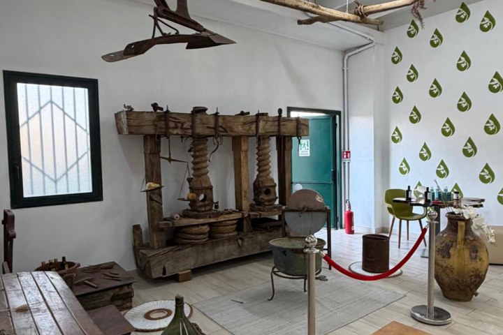 Olive oil museum visit in Calabria Italy