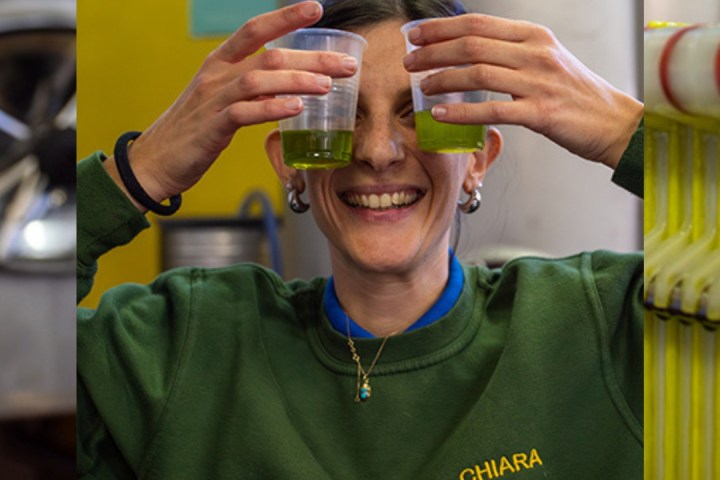 Extra virgin olive oil tasting with glass cups and professional evaluation technique