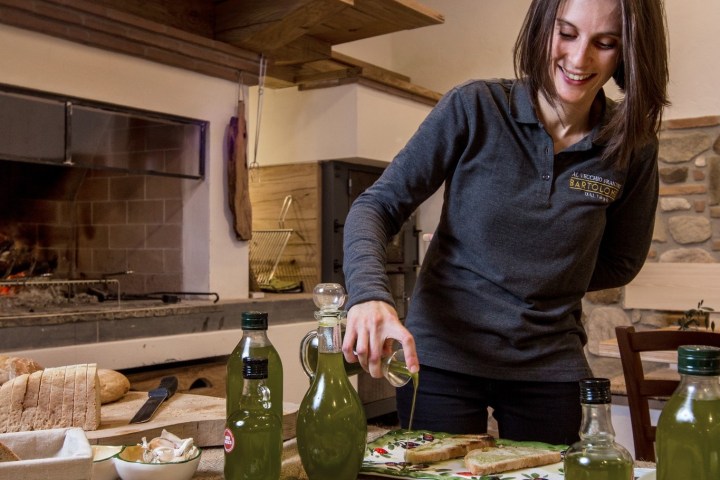 Olive groves in Umbria Italy with rolling hills and traditional countryside landscape
