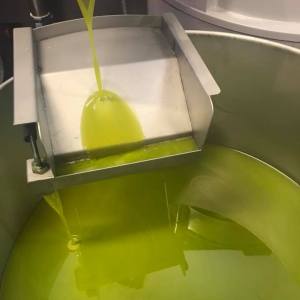 Green liquid pouring into a large metal container.