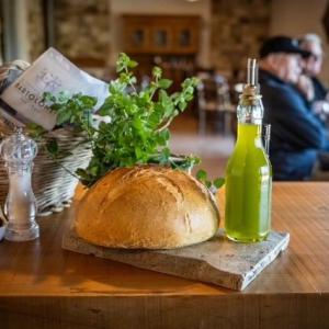 Olive harvest in Umbria with farmers collecting olives from trees