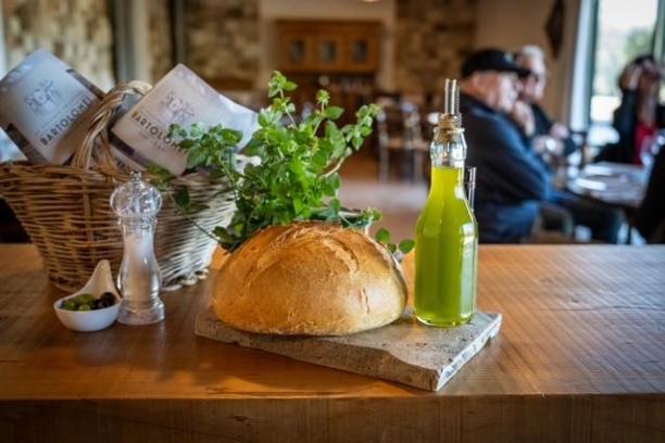 Olive harvest in Umbria with farmers collecting olives from trees