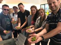Close-up of olive tree branches with ripe olives in Italian countryside
