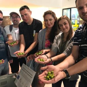 Close-up of olive tree branches with ripe olives in Italian countryside