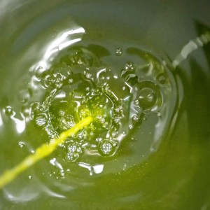 Italian bread with extra virgin olive oil tasting traditional food pairing