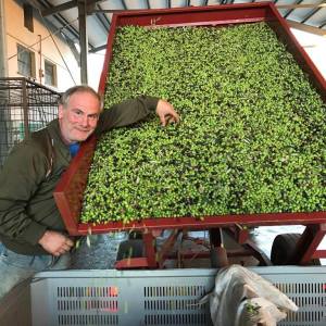 Traditional olive oil mill in Italy with modern extraction machines and production process