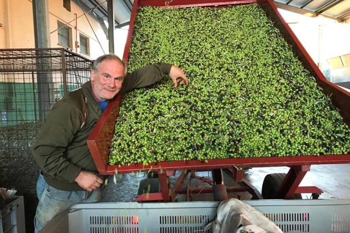 Traditional olive oil mill in Italy with modern extraction machines and production process