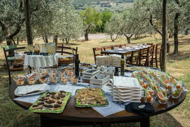 gourmet olive oil lunch Umbria Italy