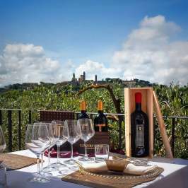 Wine bottles and glasses on outdoor table with scenic background.