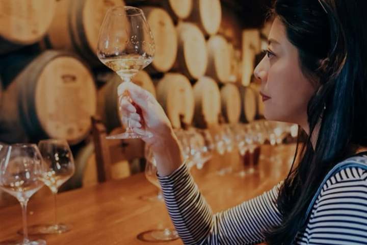 Bottles of Vernaccia DOCG and Super Tuscan wines lined up for a tasting