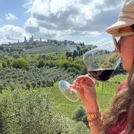 Panoramic view of San Gimignano's medieval towers from a winery terrace