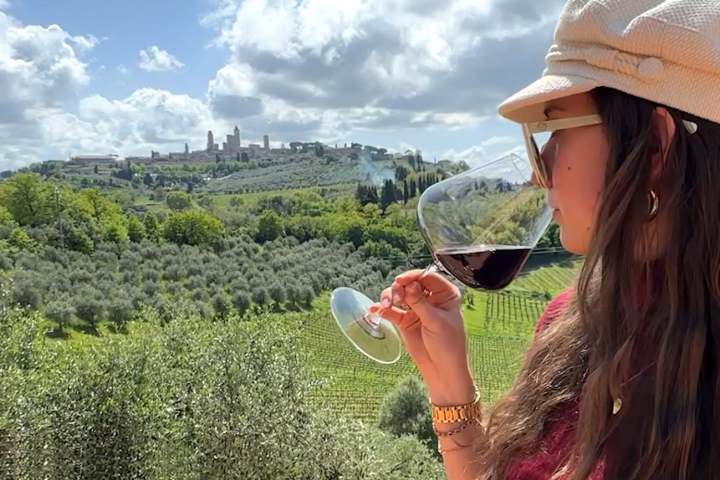 Panoramic view of San Gimignano's medieval towers from a winery terrace