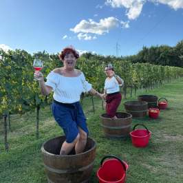 Guided wine tasting of sweet and late harvest wines in San Gimignano