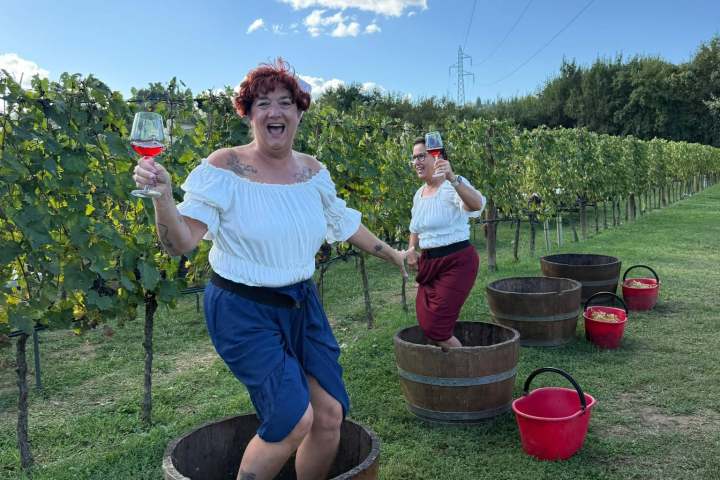 Guided wine tasting of sweet and late harvest wines in San Gimignano