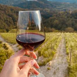 Glass of Nebbiolo red wine during a guided tasting in Cocconato d'Asti Monferrato Italy
