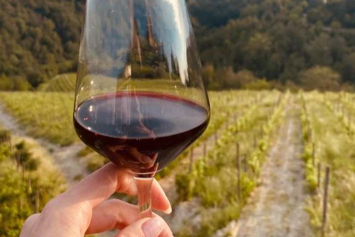 Glass of Nebbiolo red wine during a guided tasting in Cocconato d'Asti Monferrato Italy