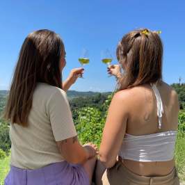 Two women sitting outdoors, toasting with wine glasses, overlooking a scenic view.