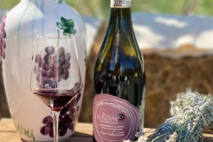 Board of local Cocconato products — Robiola cheese Grissini and seasonal specialities — at a wine tasting