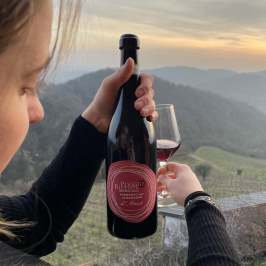 Person holding wine bottle and glass with scenic hills in background.