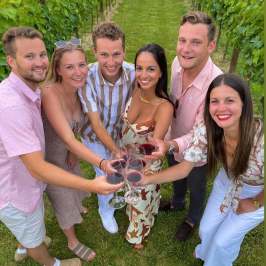 Group of six people smiling and toasting with wine glasses in a vineyard.