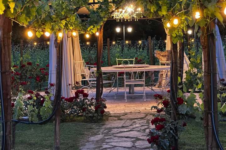 Garden patio with string lights, table, and chairs under a pergola draped with vines.