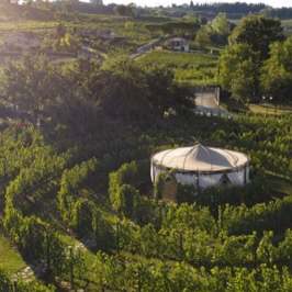 Circular gazebo in lush vineyard landscape under clear sky.