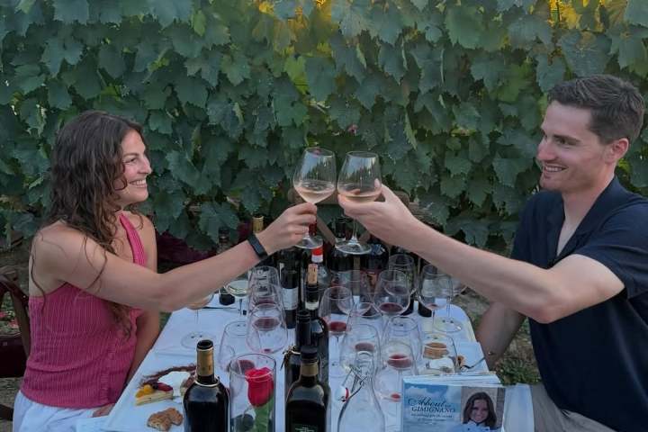 A couple toasting wine glasses at an outdoor vineyard table.