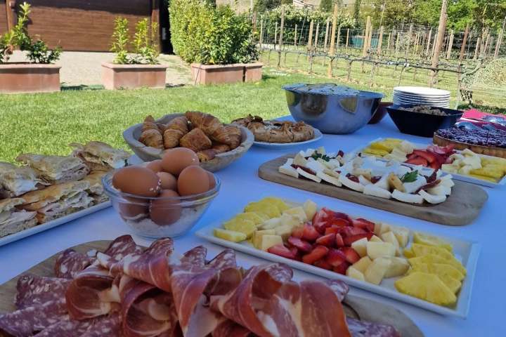 Outdoor table with assorted meats, cheeses, fruits, and pastries; vineyard background.