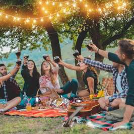 Group of friends toasting with drinks at an outdoor picnic under string lights.
