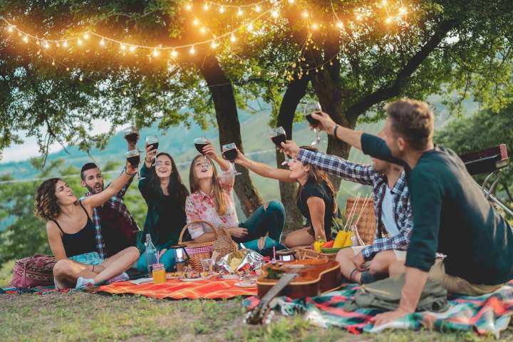 Group of friends toasting with drinks at an outdoor picnic under string lights.
