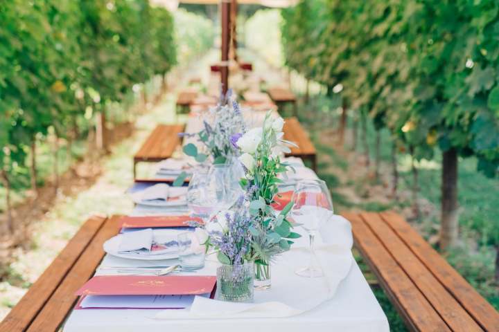 Outdoor table set with flowers and menus under a vine canopy.