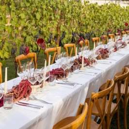 Outdoor dining table with wine glasses and red leaves.
